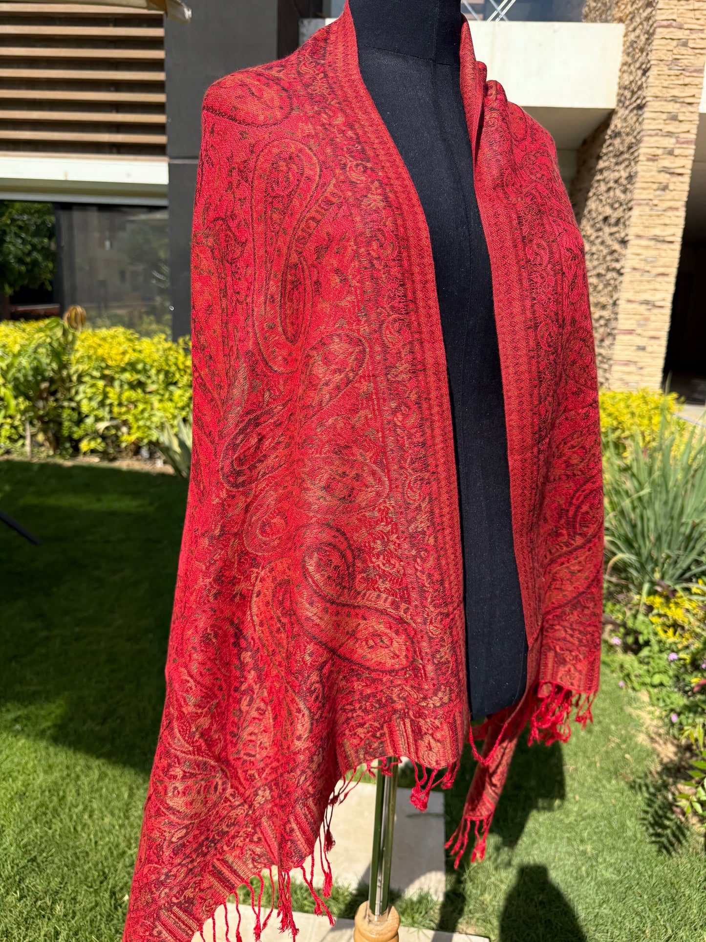 Indian Amina pashmina Scarf