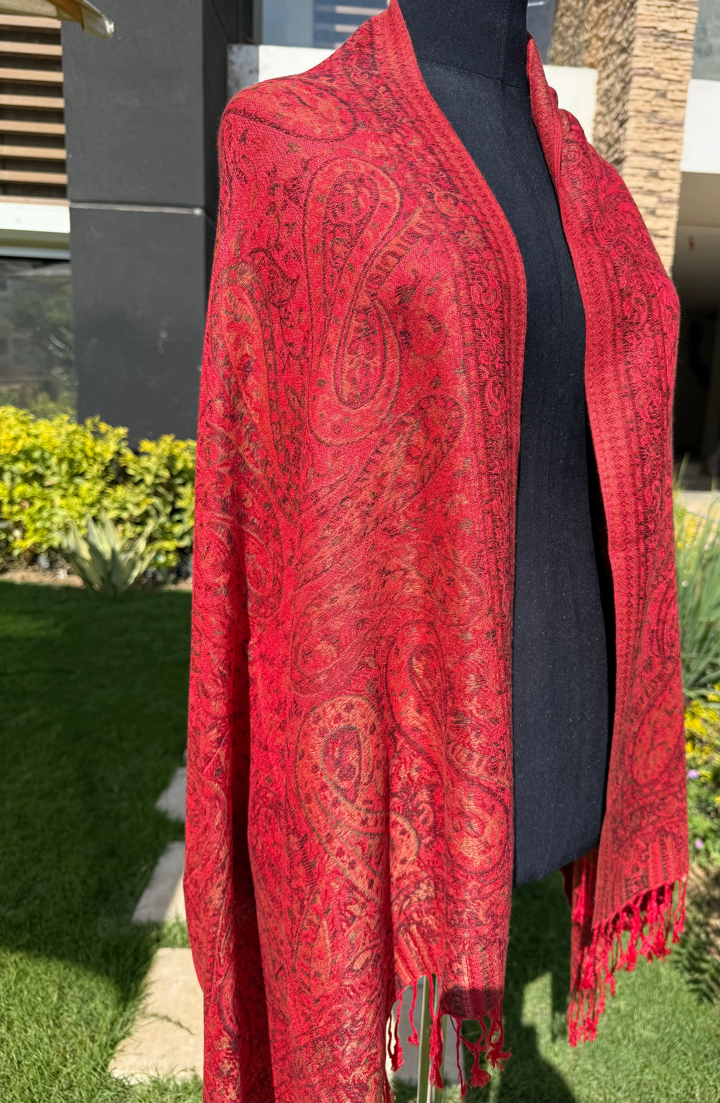 Indian Amina pashmina Scarf