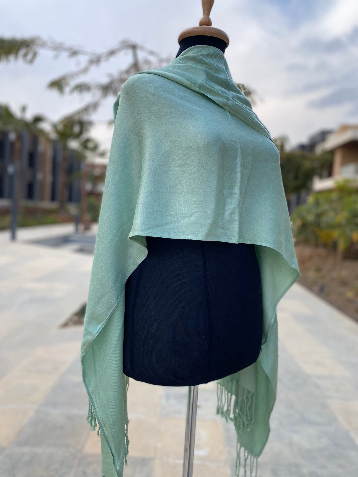 Must-Have Pashmina