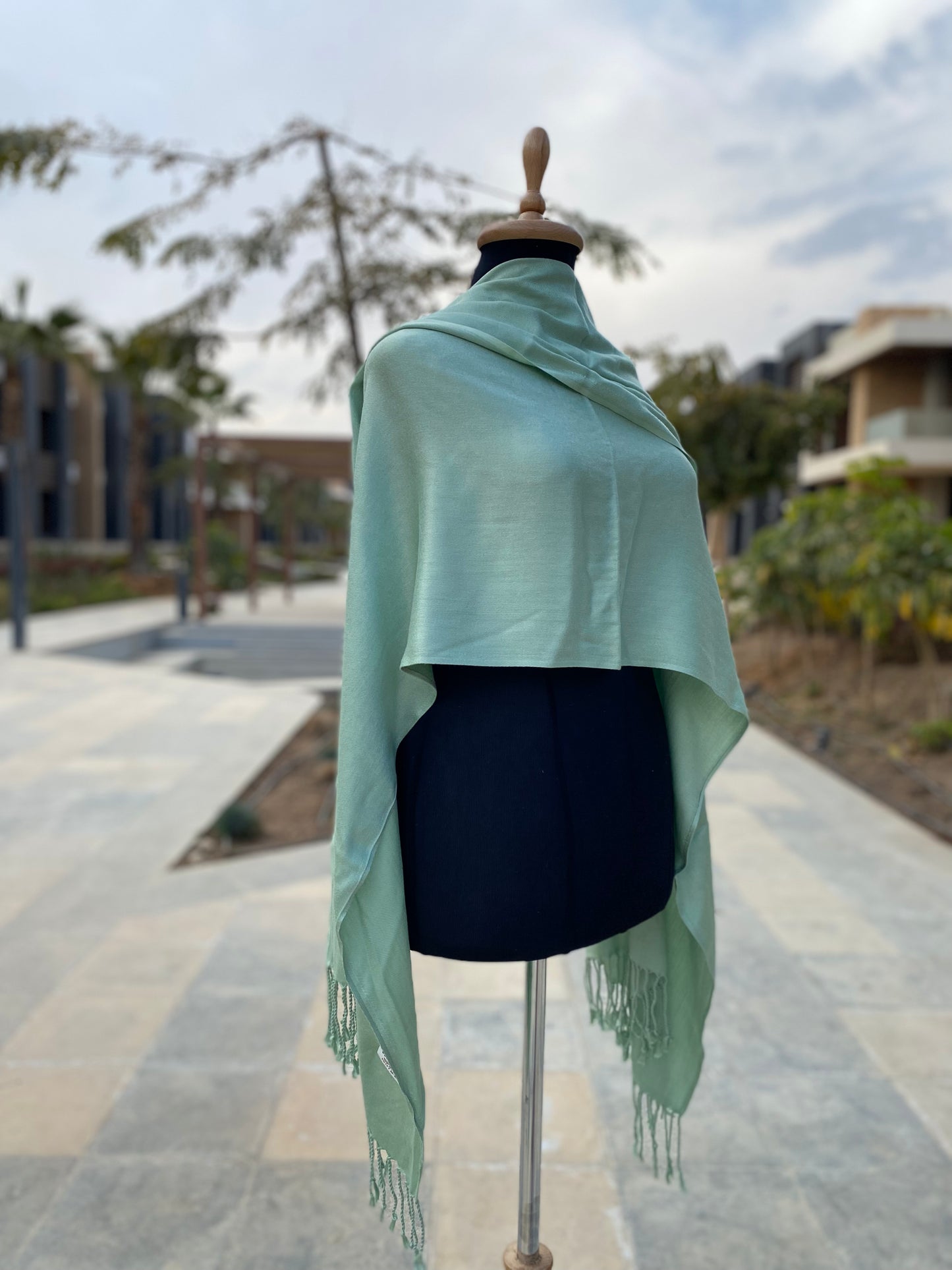 Must-Have Pashmina