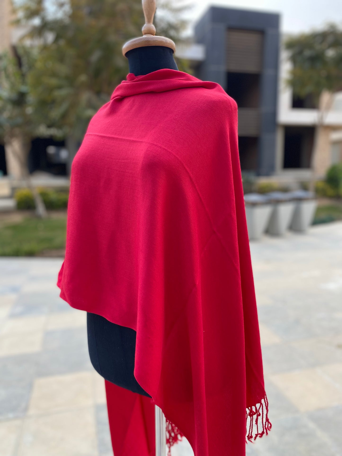 Must-Have Pashmina