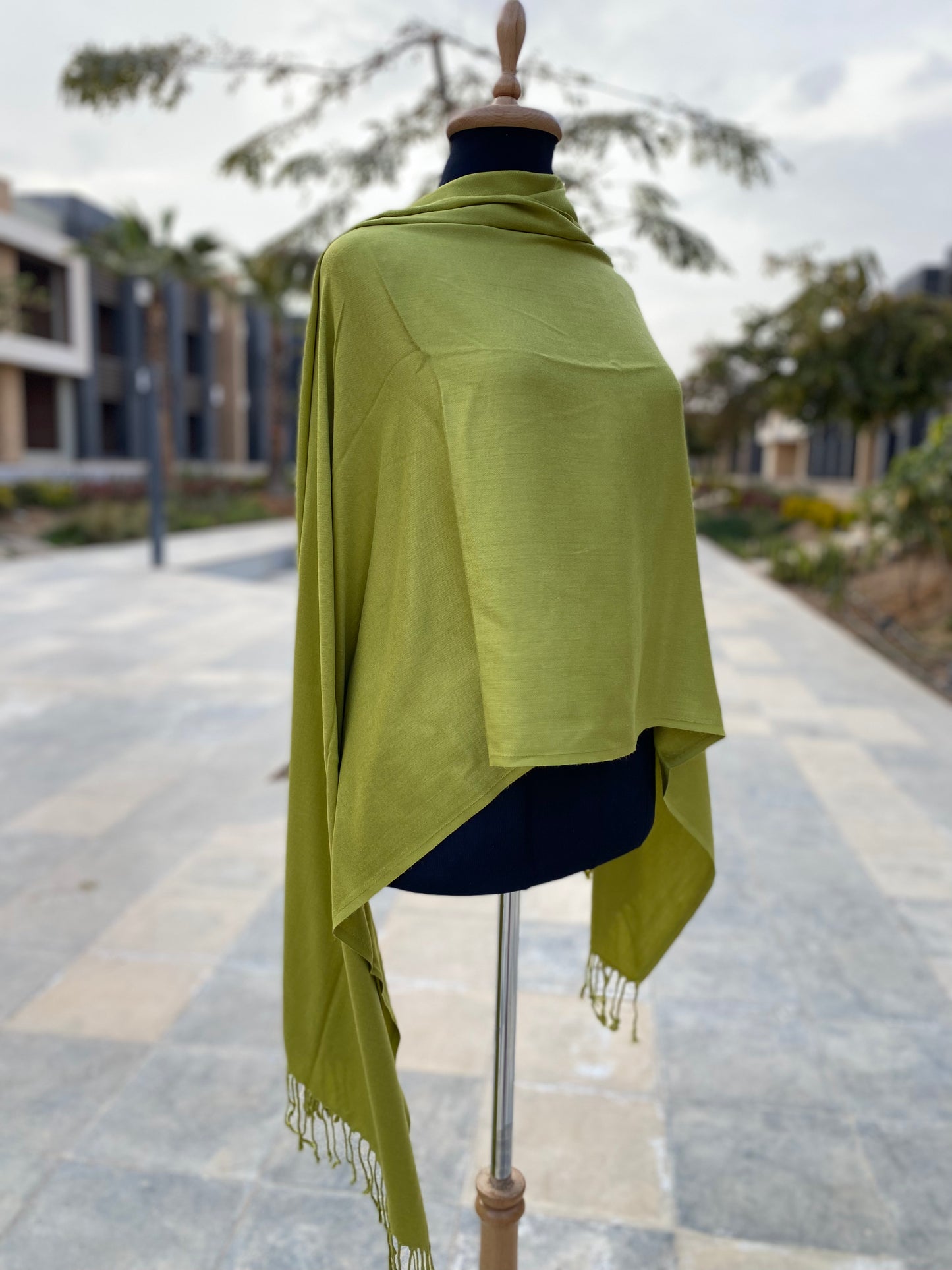 Must-Have Pashmina