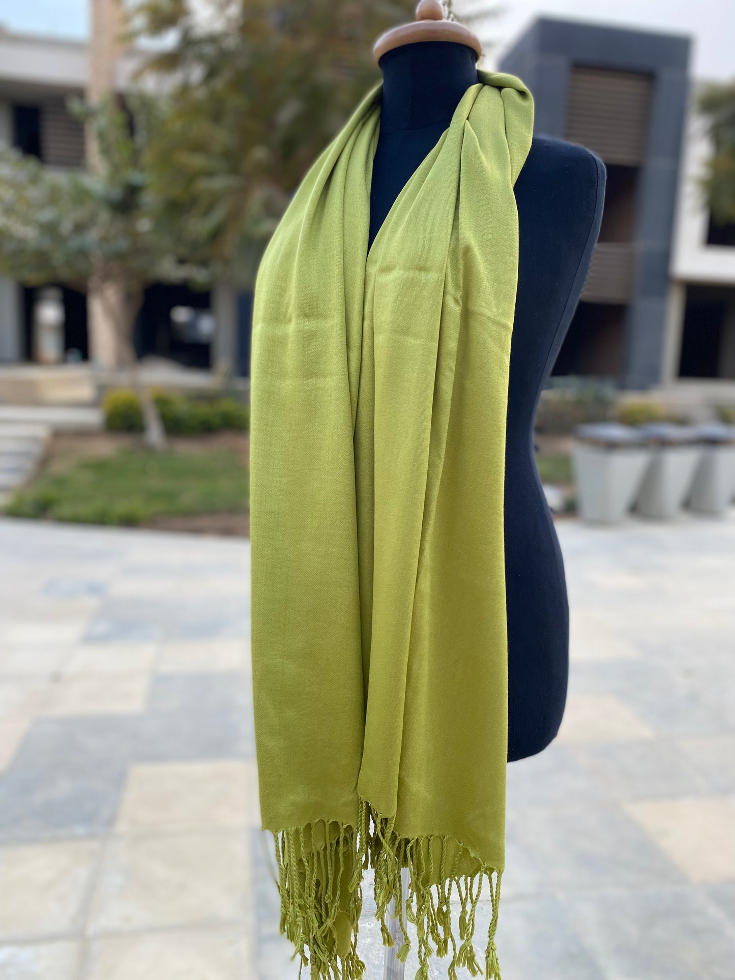 Must-Have Pashmina