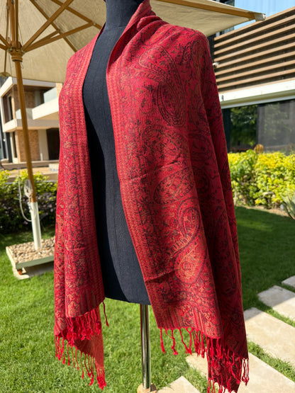 Indian Amina pashmina Scarf