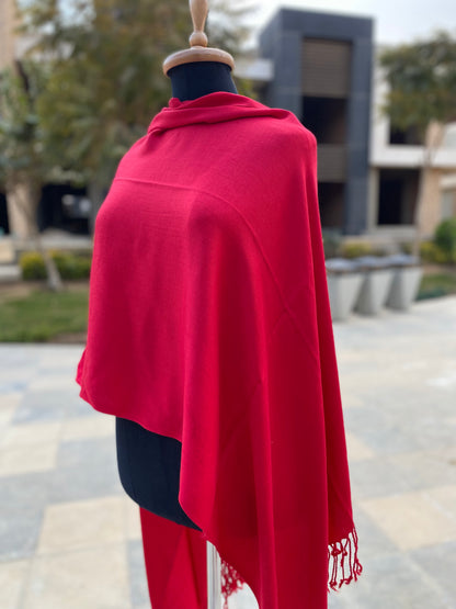 Must-Have Pashmina