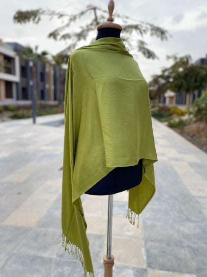 Must-Have Pashmina