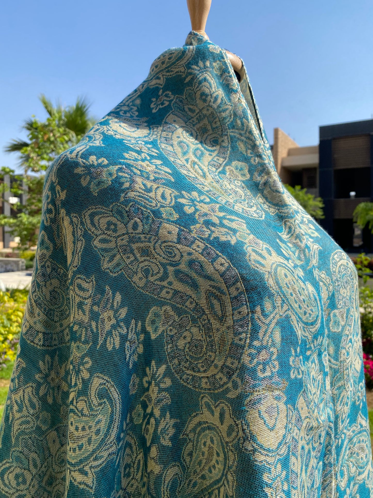 Everyday Shine Kashmir Shawl